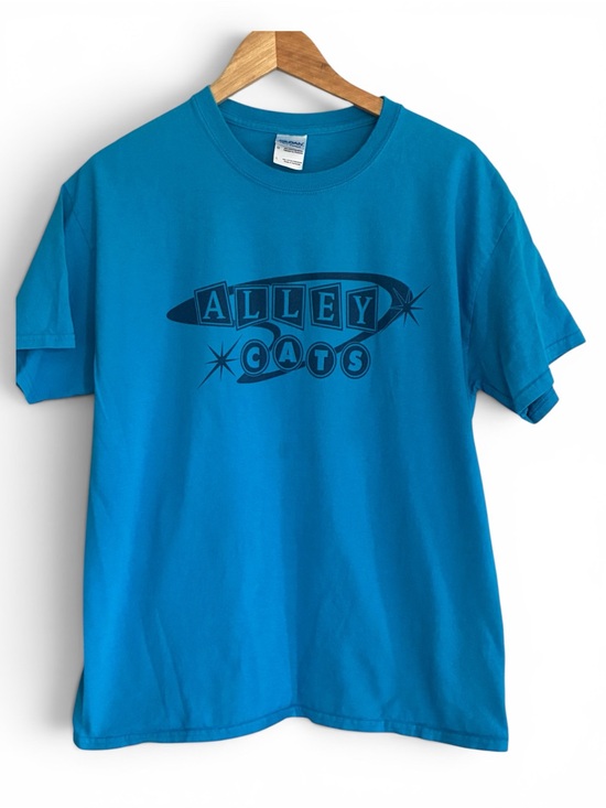 Other - Alley Cats Solid Teal Blue Crewneck T-Shirt Sz L